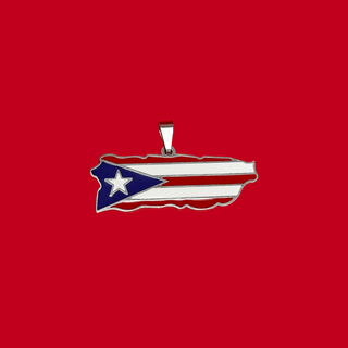 Puerto Rico (Bandera) - Charm de Stainless Steel; 1 pieza - Plateado