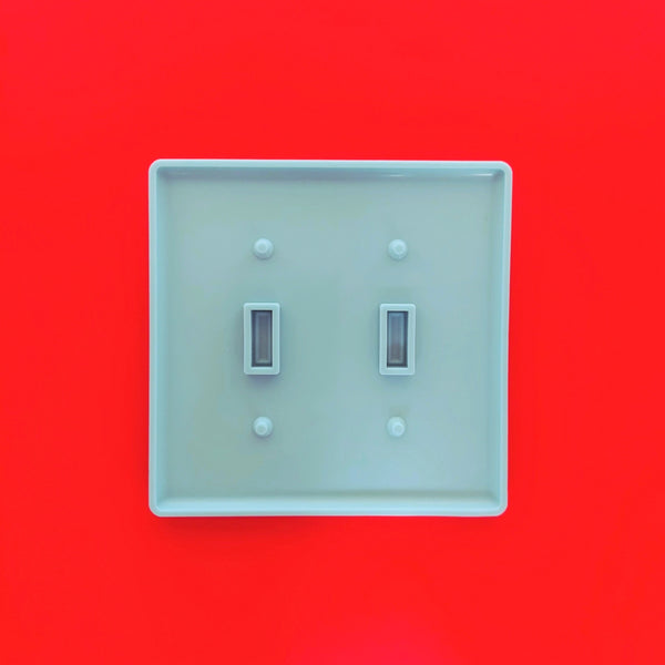 Double Small Switch Plate Mold for Resin