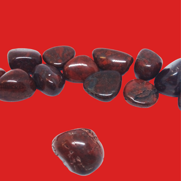 Tumbled Petrified Wood; 1'' Aprox. One Piece