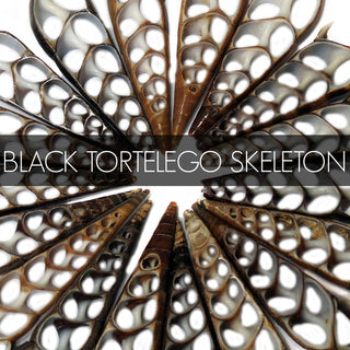 Black Tortelego Skeleton Shells
