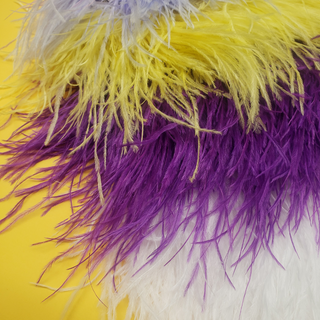 Feathers / Plumas