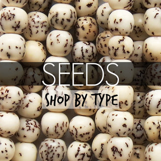 Seeds