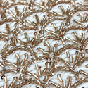 Tela Tulle de Encaje Bordada 65",  Dorado / Crema - 1 yarda