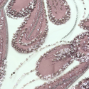 Tela Tulle de Encaje Bordada 65", Rosa Viejo / Plateado  - 1 yarda