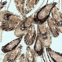 Tela Tulle de Encaje Bordada 60", Beige - 1 yarda