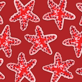 Estrella de Mar - Aplicación bordada con pega ; 1 pieza