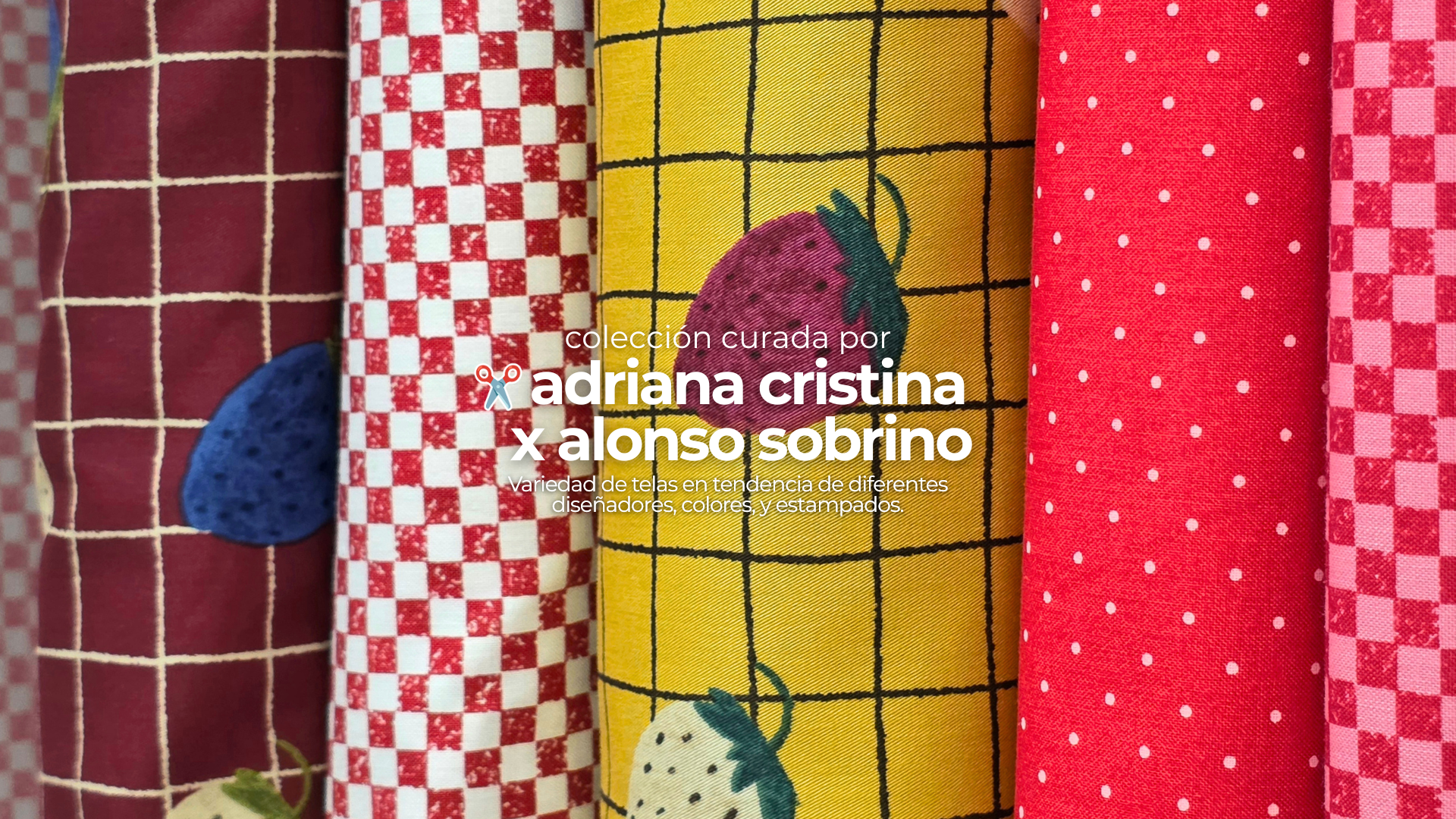 Coleccion adriana cristina x alonso sobrino   desktop banner 3