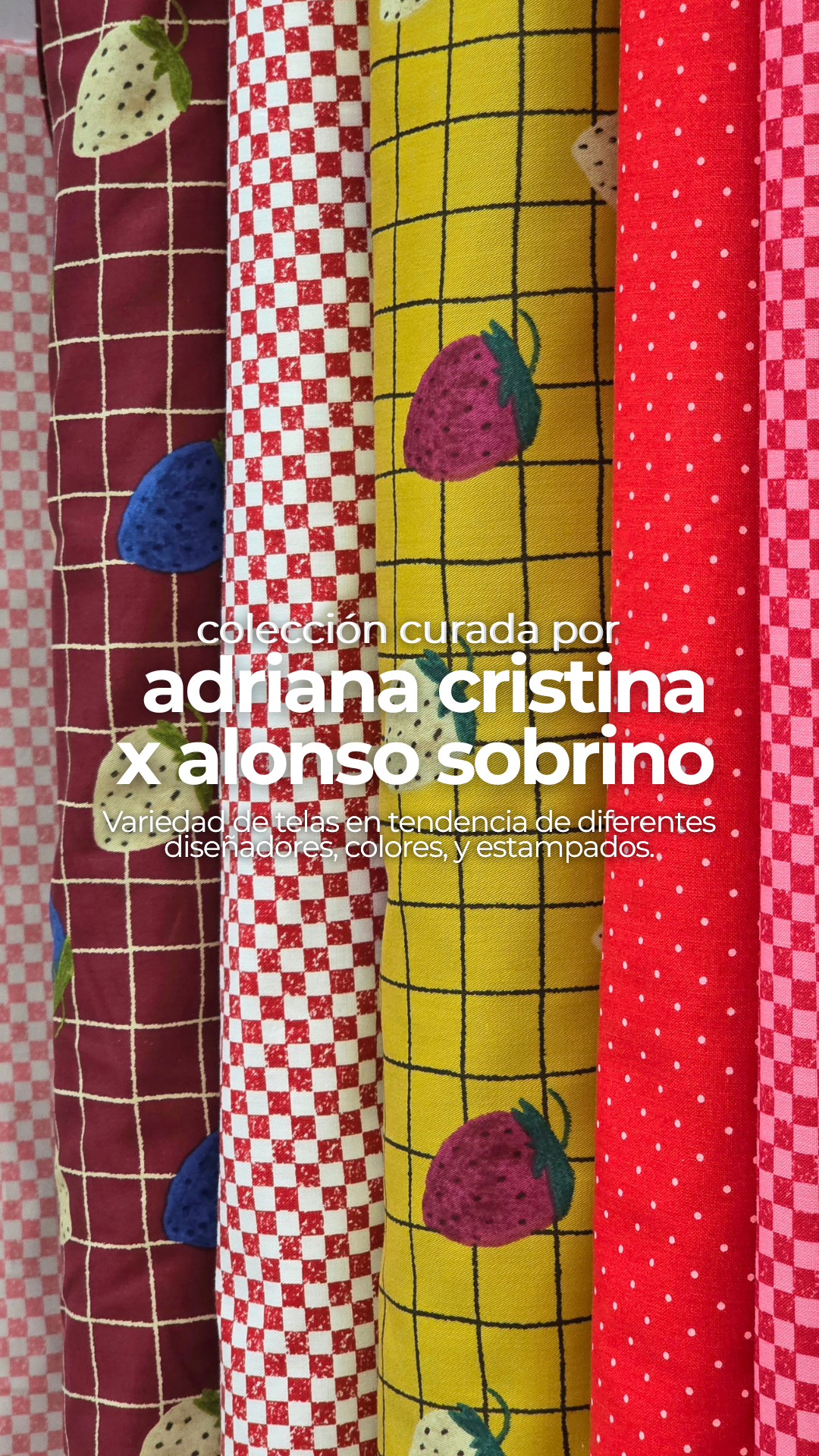 Coleccion adriana cristina x alonso sobrino   mobile banner 3 b0e8f771 7583 4f1c bd23 b4f496f33b74