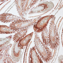Tela Tulle de Encaje Bordada 65", Rose Gold - 1 yarda