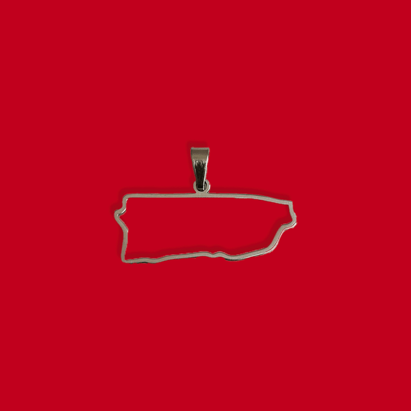 Puerto Rico (Mapa con Bordes) - Charm de Stainless Steel; 1 pieza - Plateado