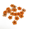 Mini Dried Flowers - Orange