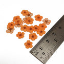 Mini Dried Flowers - Orange
