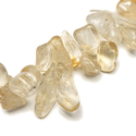 Citrine Top Drilled Smooth Beads, Various Sizes - 1 strand
