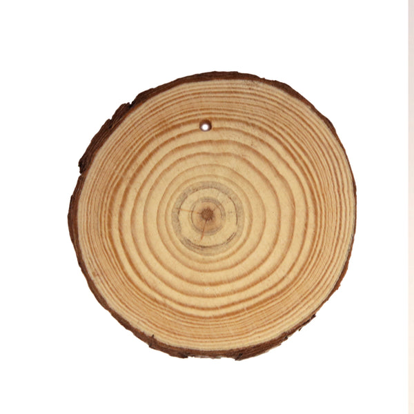 Perforated Natural Wood Slice - Approx. 1-3" (Size may vary)
