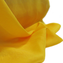 Yellow, Polyester Voile (Mesh) - 118" wide; 1 Yard