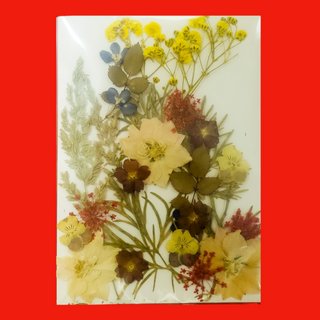 Flores secas multicolor, A1- Dried Flowers