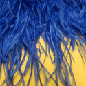 Plumas De Avestruz; Color Azul Royal